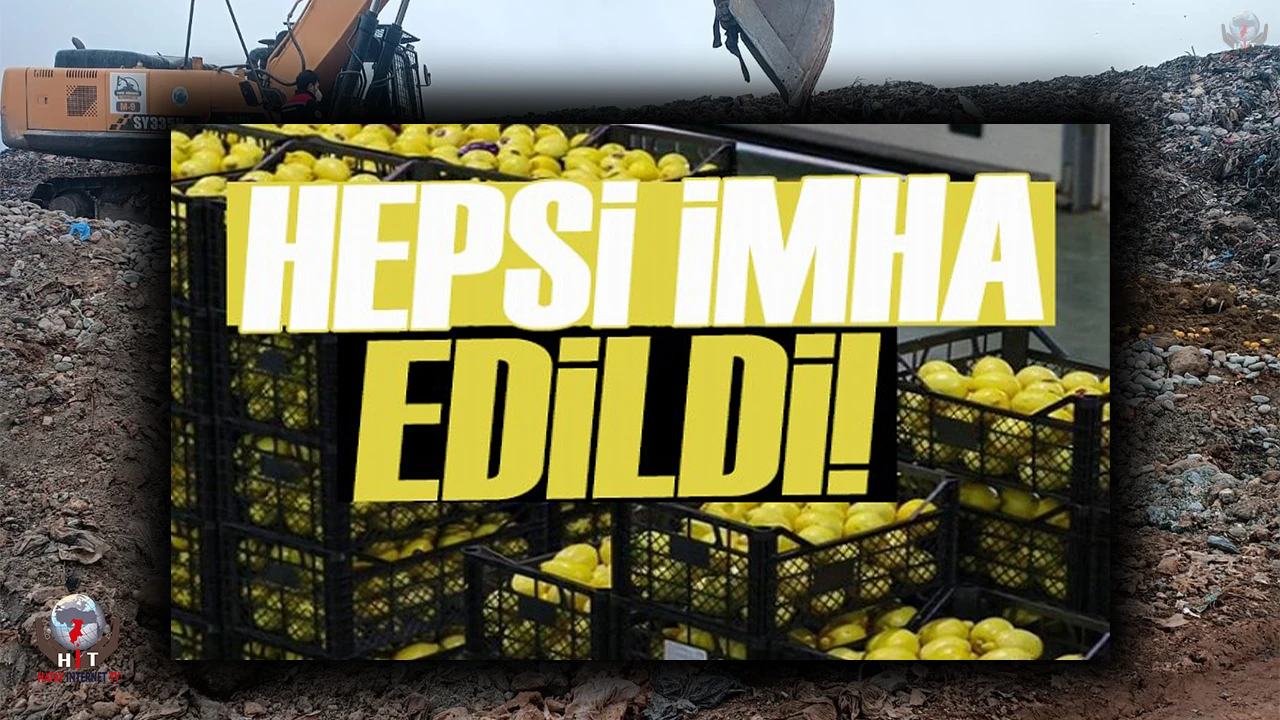 Pestisit kimyasal maddesi tespit edilen 55 ton limon imha edildi