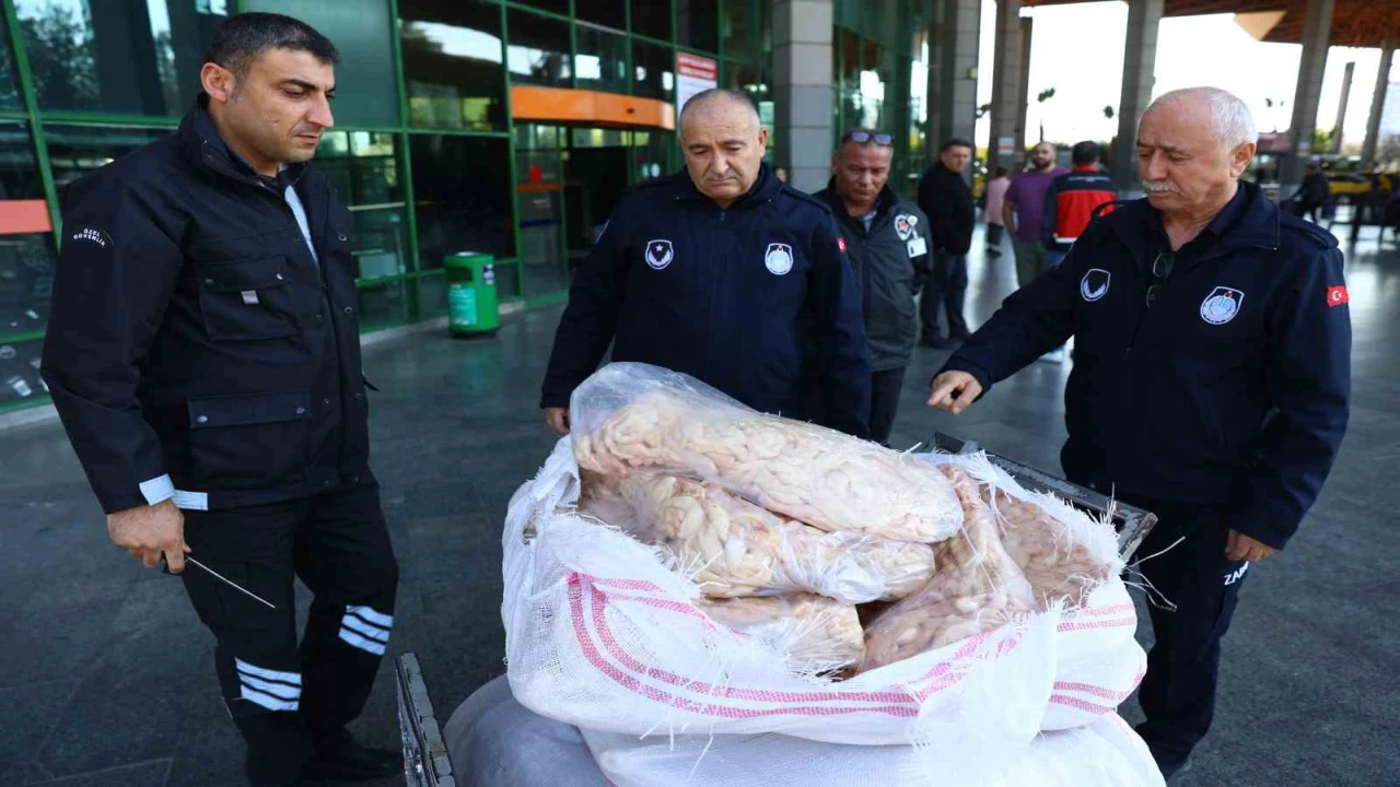 Şanlıurfadan Antalyaya otobüsle gönderilen 300 kilogram sakatata el konuldu