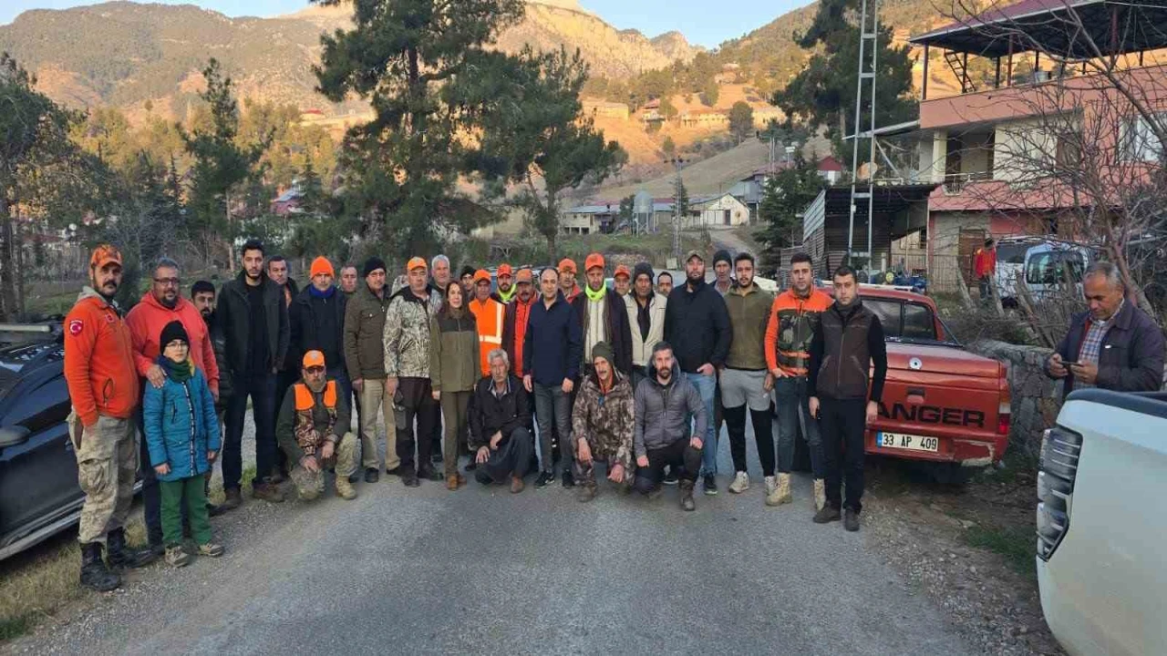 Tarsusta sürek avı