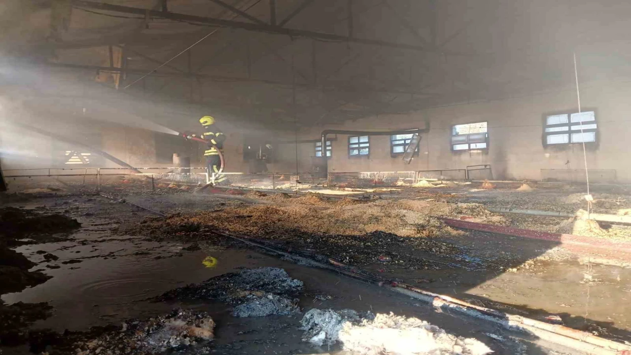 Tarsusta tavuk üretim tesisinde çıkan yangında binlerce civciv telef oldu