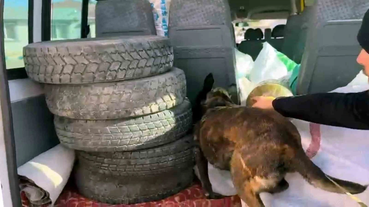 10 kilo uyuşturucu yakalattı, Şeker sanıyordum savunması yaptı