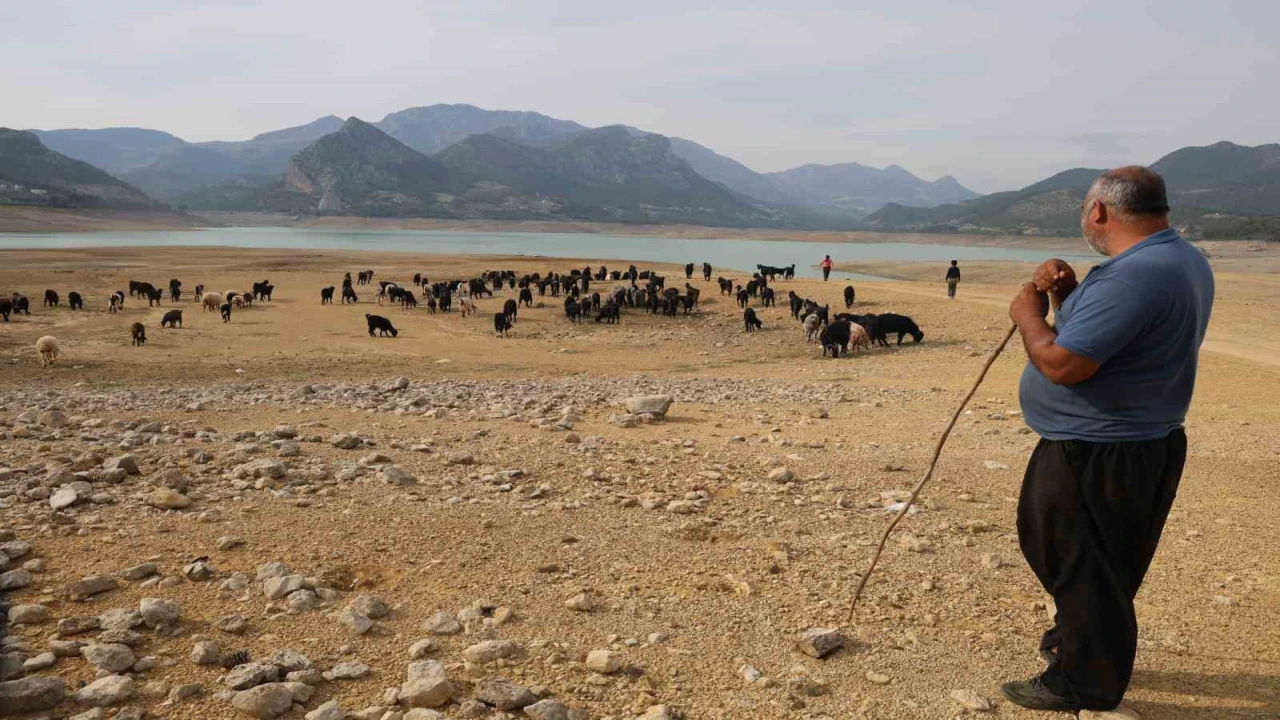 Adanada kuraklık barajı yok olma seviyesine getirdi