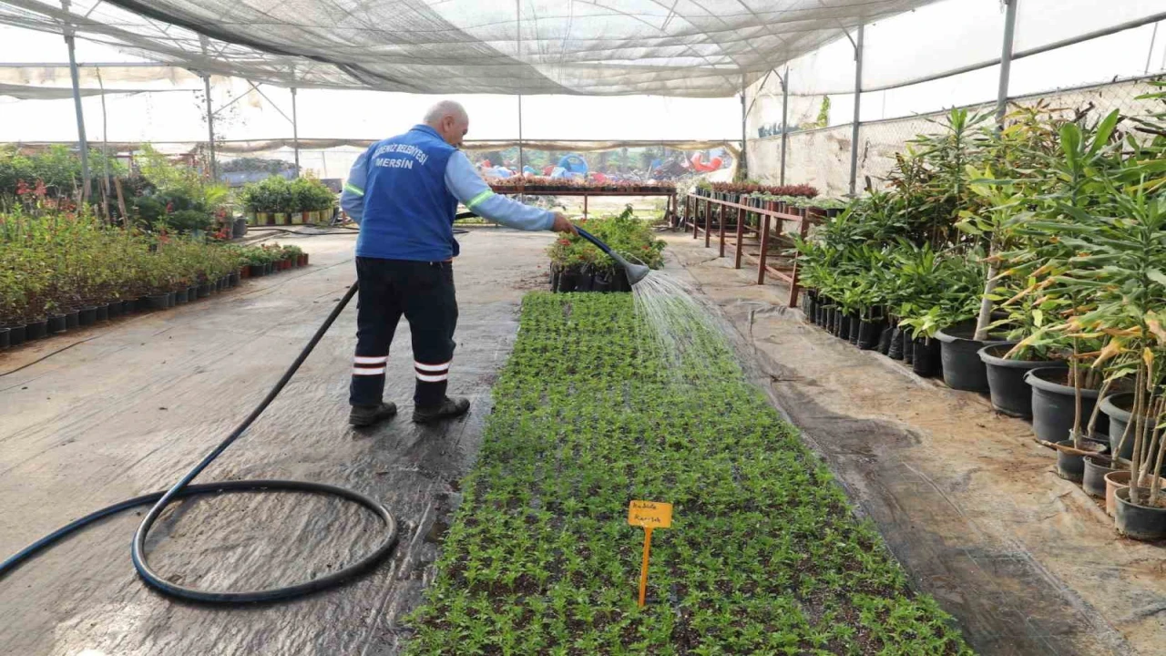 Akdenizin caddeleri rengarenk çiçeklerle buluşmaya hazırlanıyor