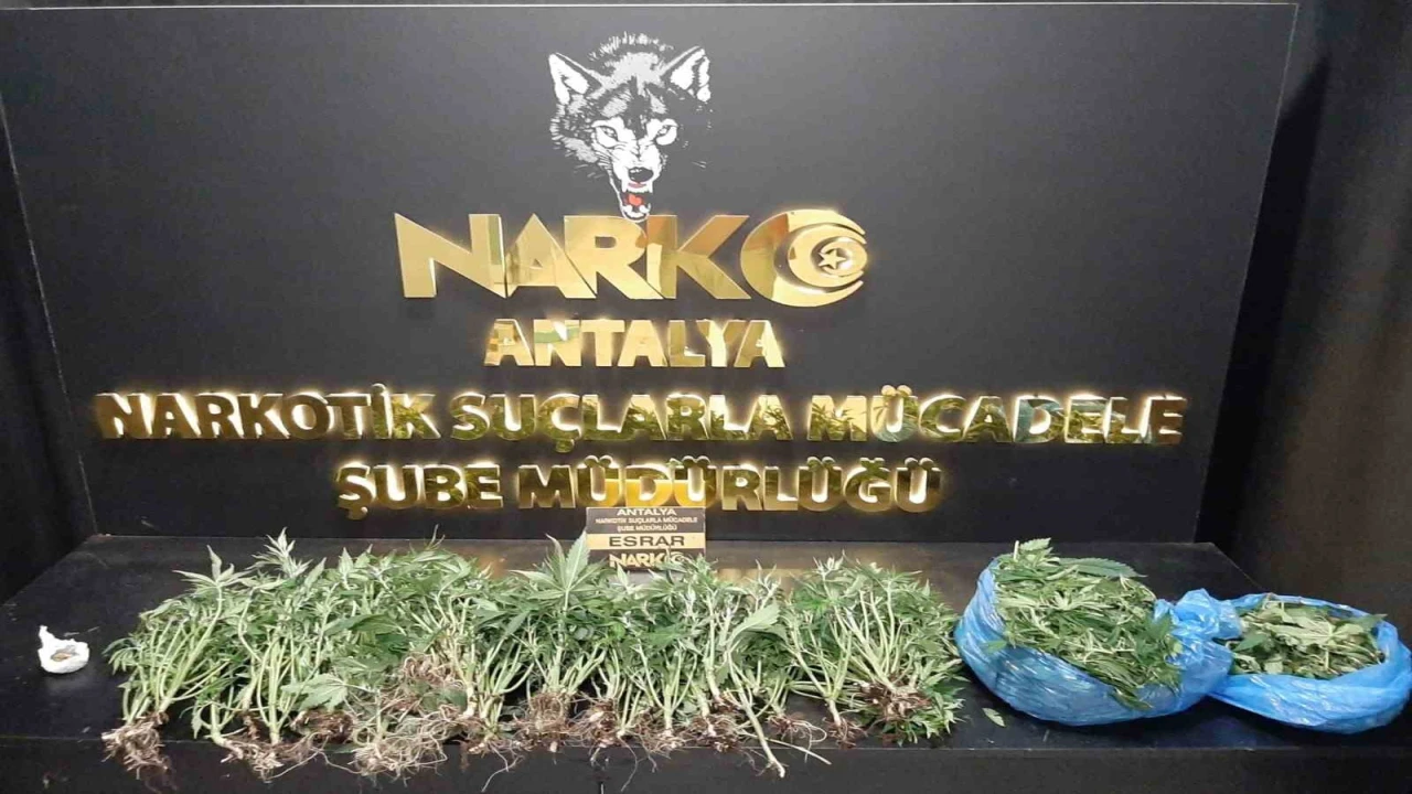 Antalyada son 1 haftada narkotik suçlarda 11 şahıs tutuklandı