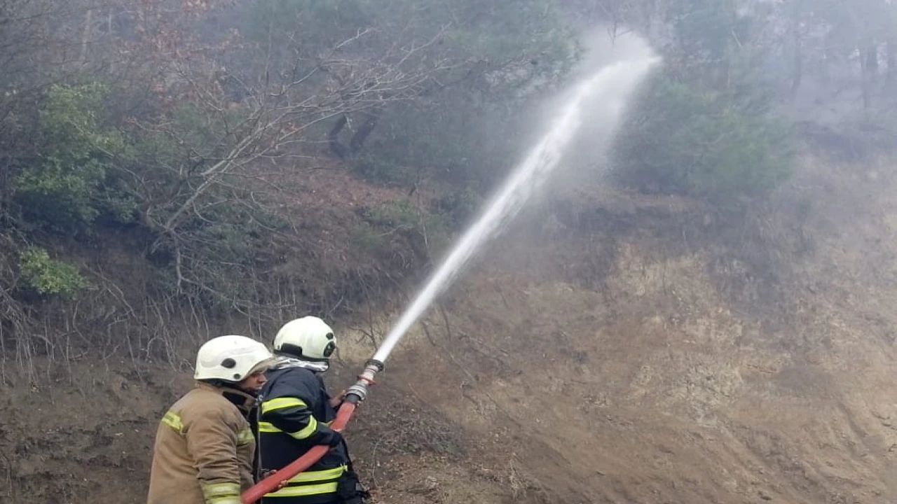 Arsuzda örtü yangını