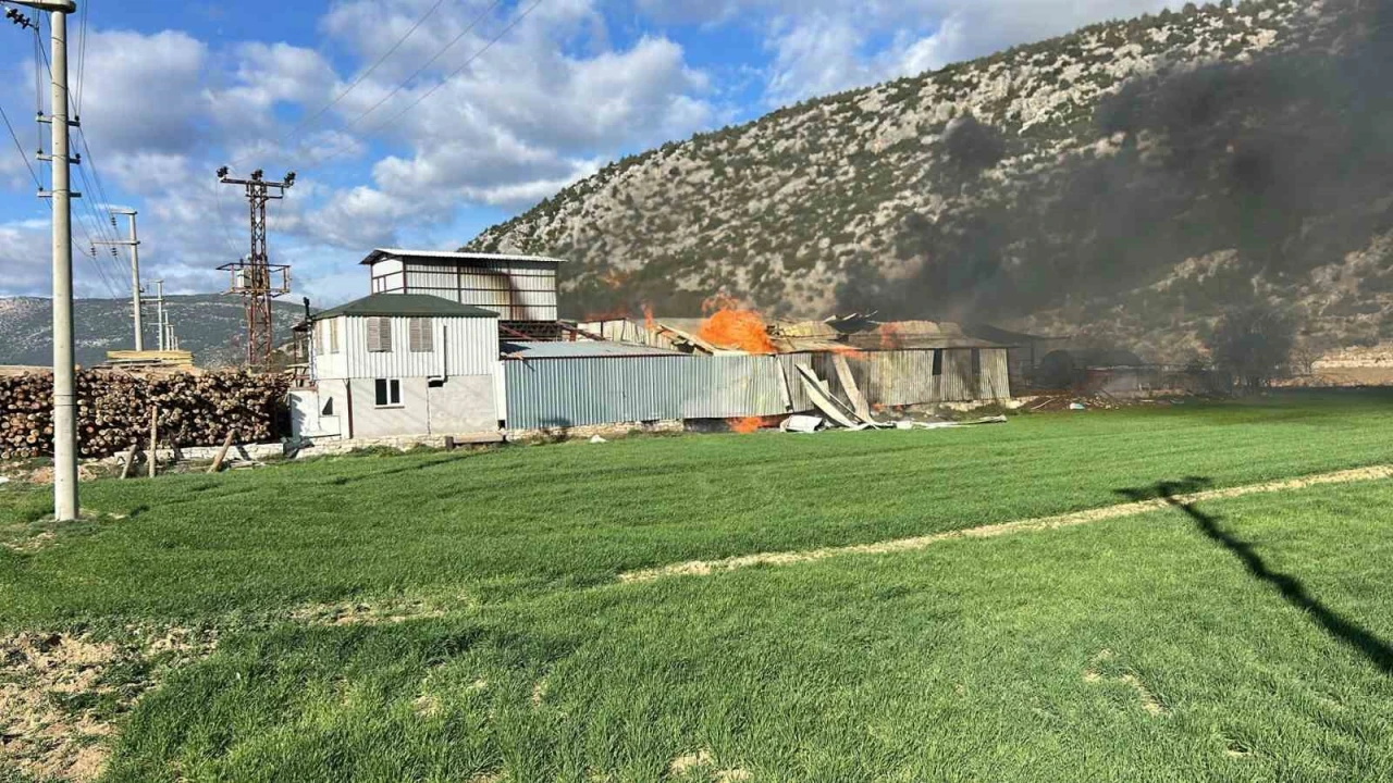 Burdurda kereste fabrikasında yangın