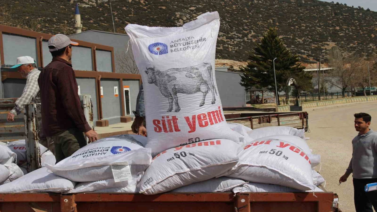 Büyükşehirin üreticilere yem desteği sürüyor