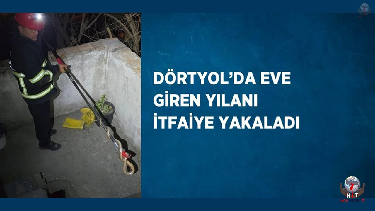 Dörtyolda eve giren yılanı itfaiye yakaladı
