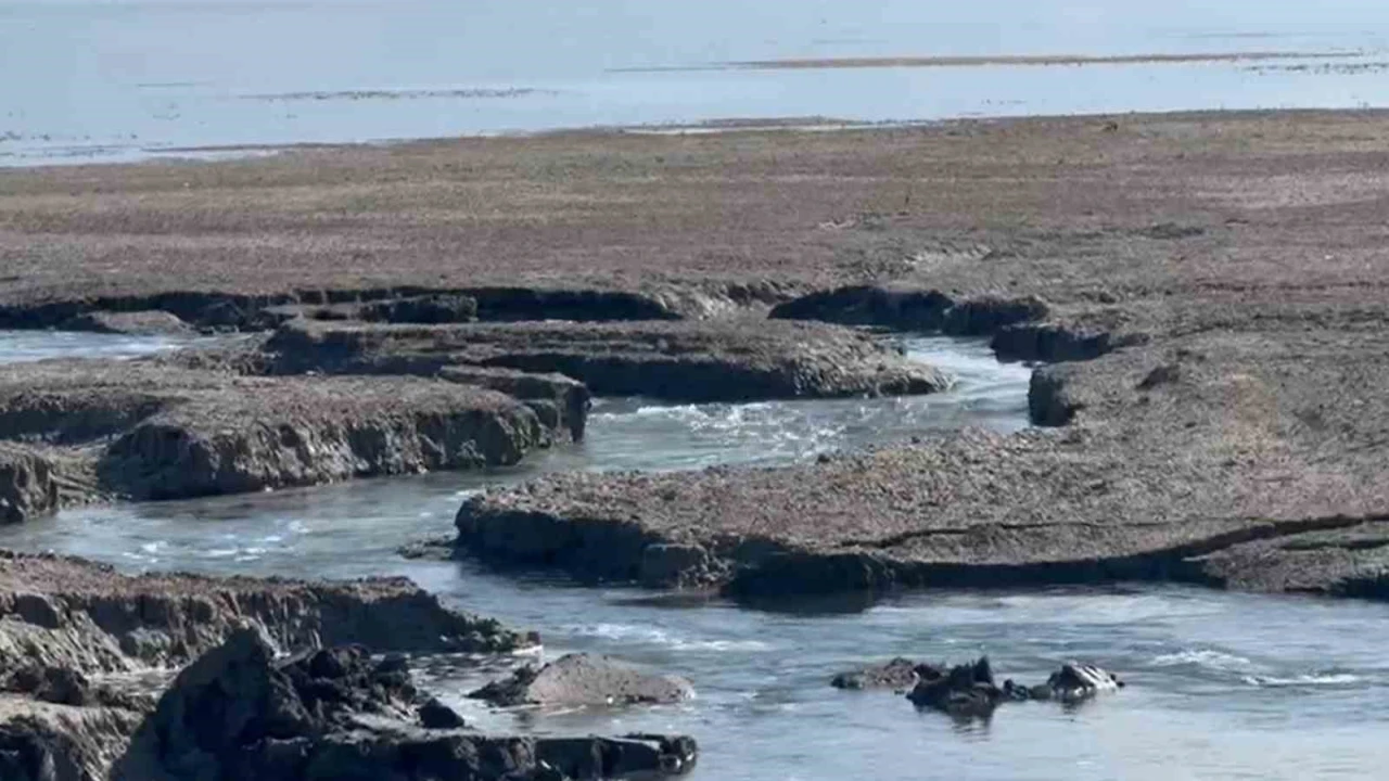 Eğirdir Gölünde yeni düdenler su tehlikesini büyütüyor