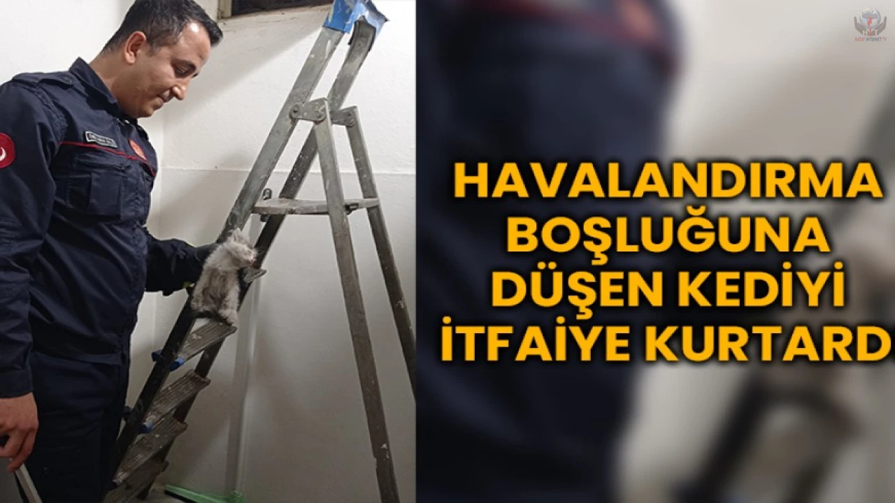 Havalandırma boşluğuna düşen kediyi itfaiye kurtardı