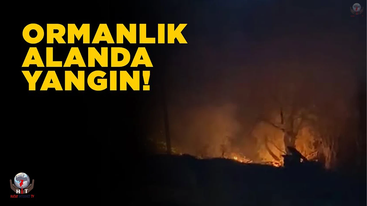 İskenderunda ormanlık alanda yangın
