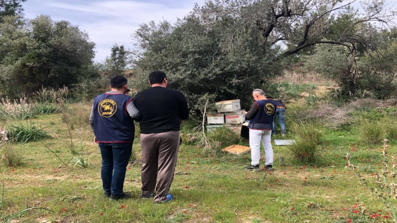 Ispartada arı kovanı hırsızları JASATtan kaçamadı