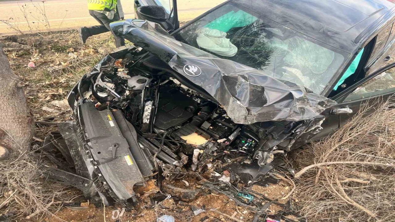 Ispartada otomobil ağaca çarptı, ilçe belediye başkanı ve ailesi yaralandı