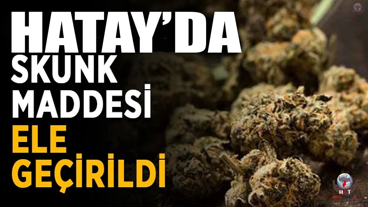 Kargo ile gelen bilgisayar kasasından skunk maddesi ele geçirildi