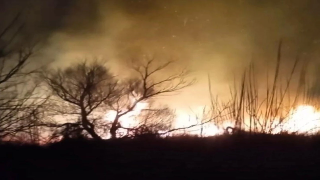 Kastabala Kuş Cennetinde 2 defa çıkan yangın söndürüldü