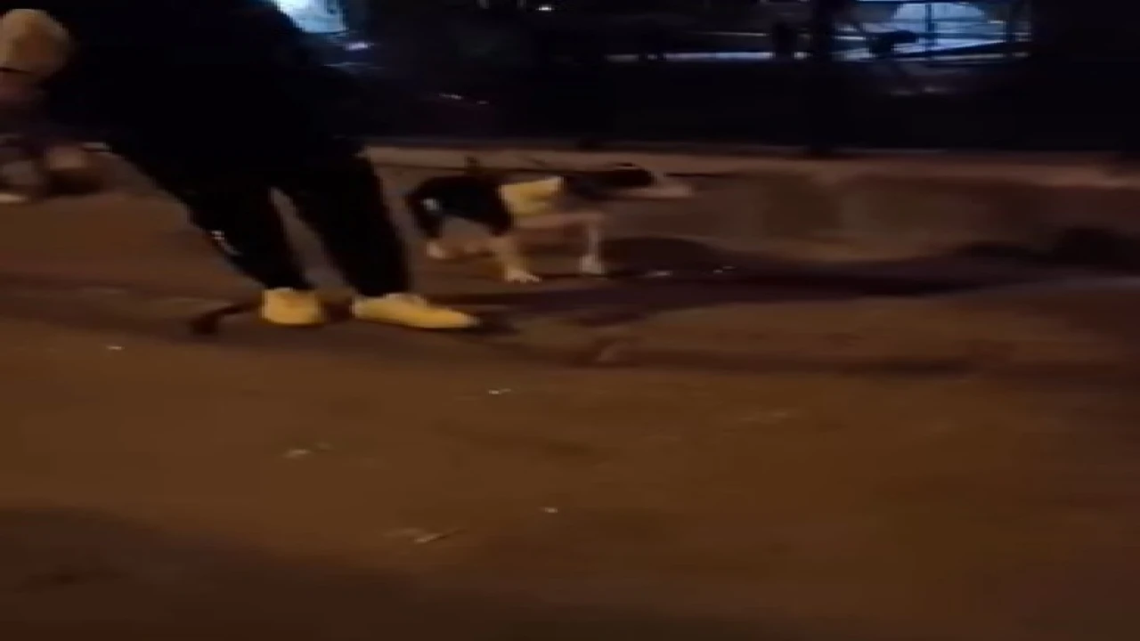 Kediye tekme atan 24 yaşındaki vicdansız tutuklanarak cezaevine gönderildi