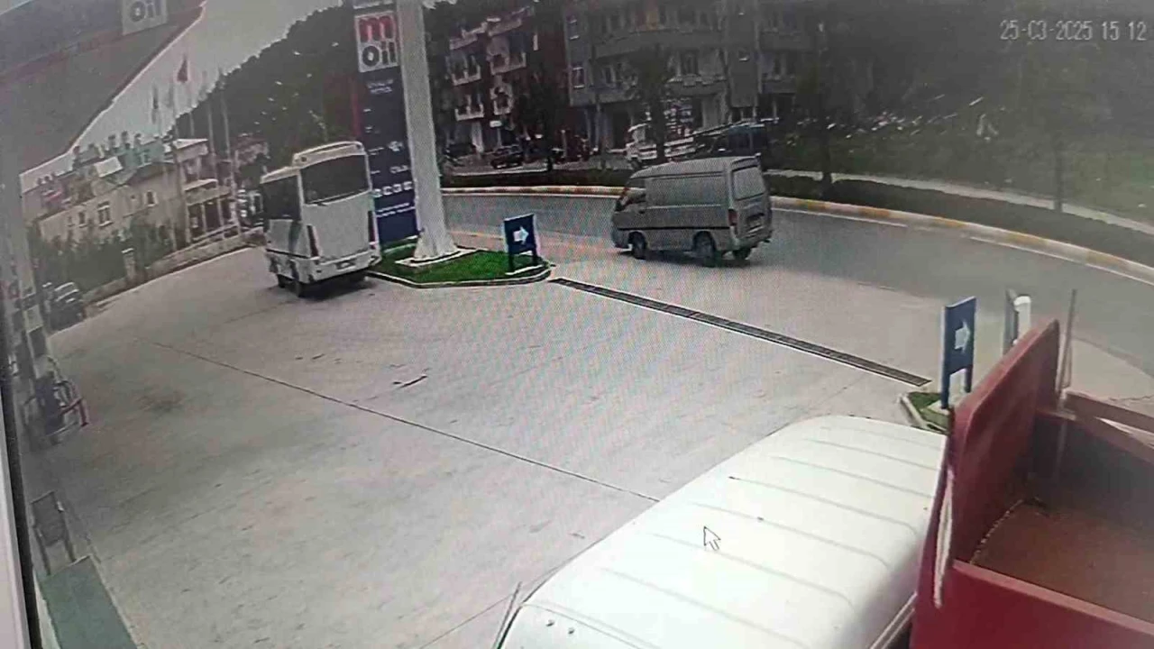 Manavgatta kamyonet palmiyeye çarptı: 1 yaralı