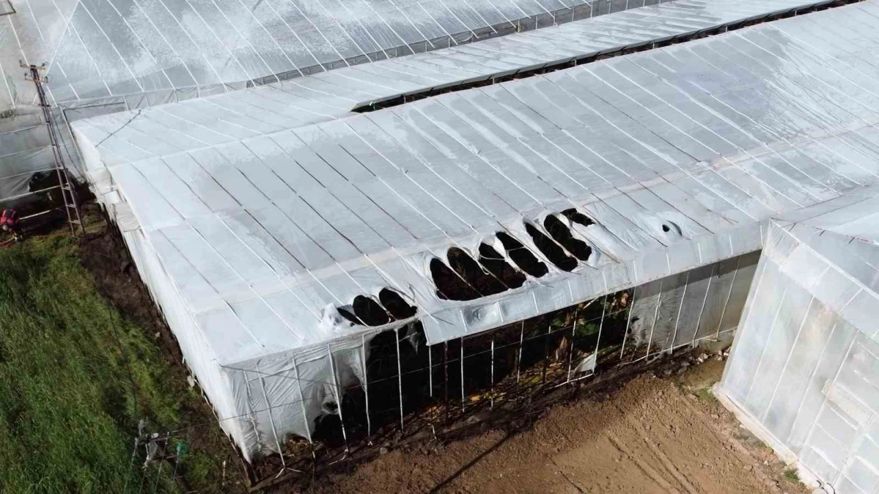 Mersinde yangın nedeniyle 2 sera zarar gördü