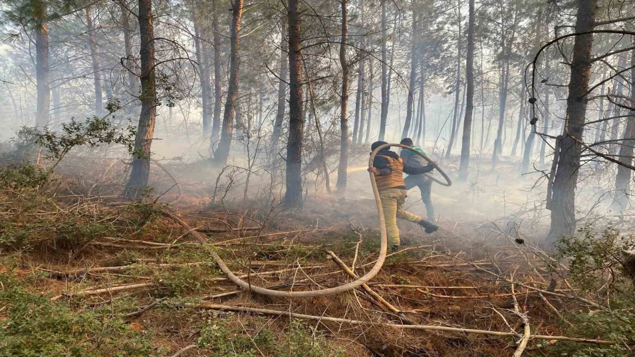 Osmaniyede çıkan orman yangını söndürüldü