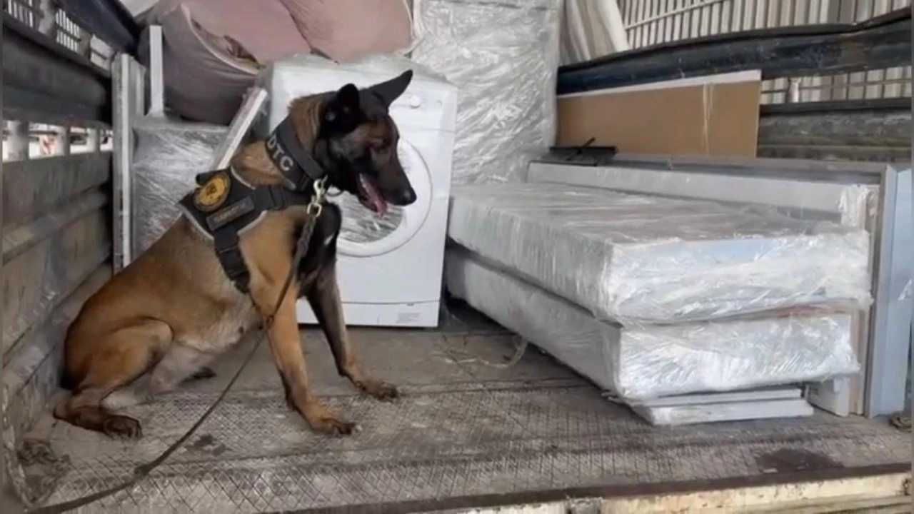 Osmaniyede nakliye kamyonuyla uyuşturucu sevkiyatına polis engeli