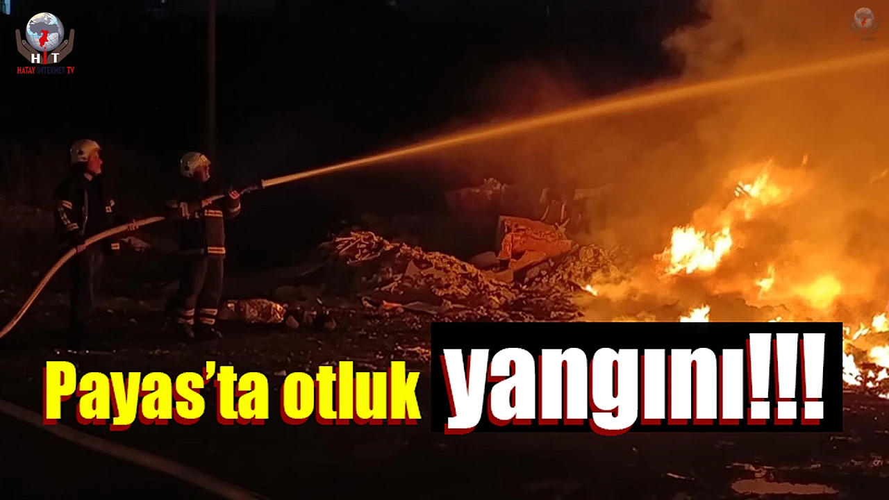 Payasta otluk alan yangını