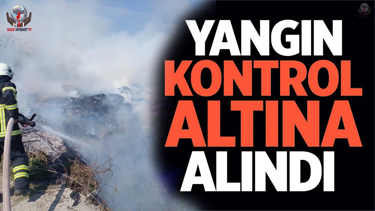 Samandağda kamışlık alanda yangın çıktı