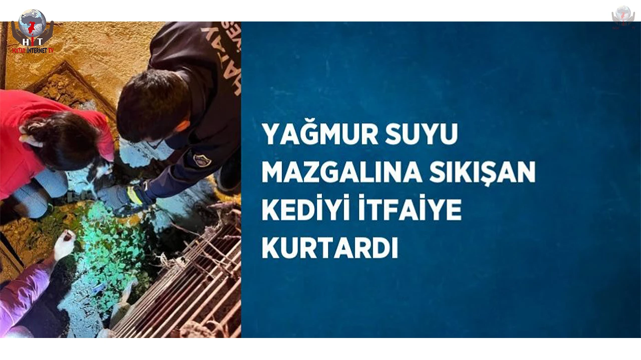 Yağmur suyu mazgalına sıkışan kediyi itfaiye kurtardı