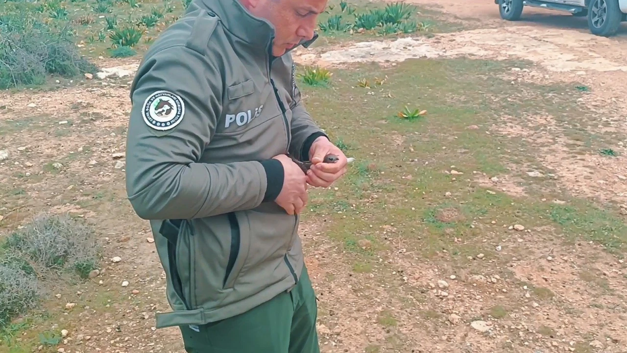 Yaralı ve bitkin bulunan Ebabil kuşu koruma altına alındı