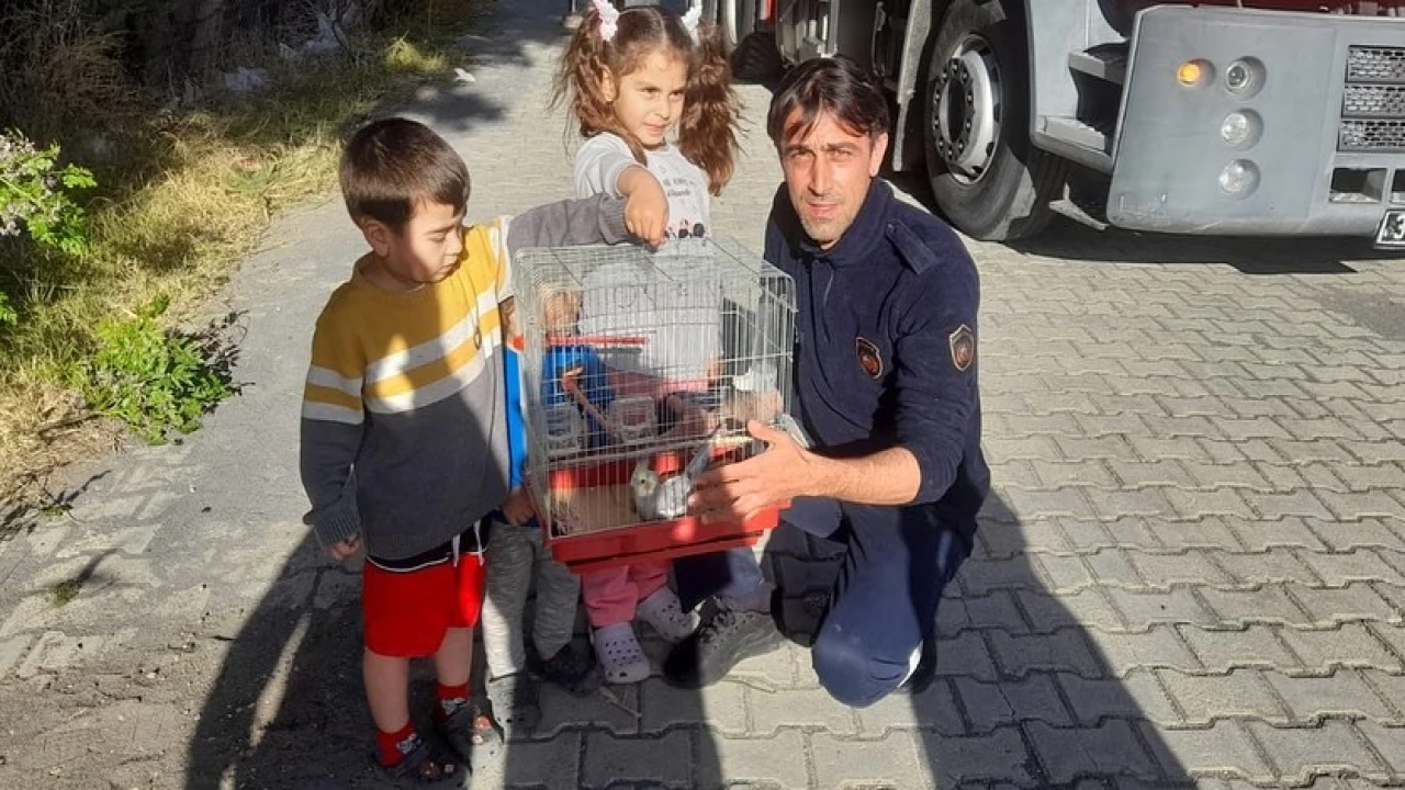Ağaçta mahsur kalan papağanı itfaiye kurtardı
