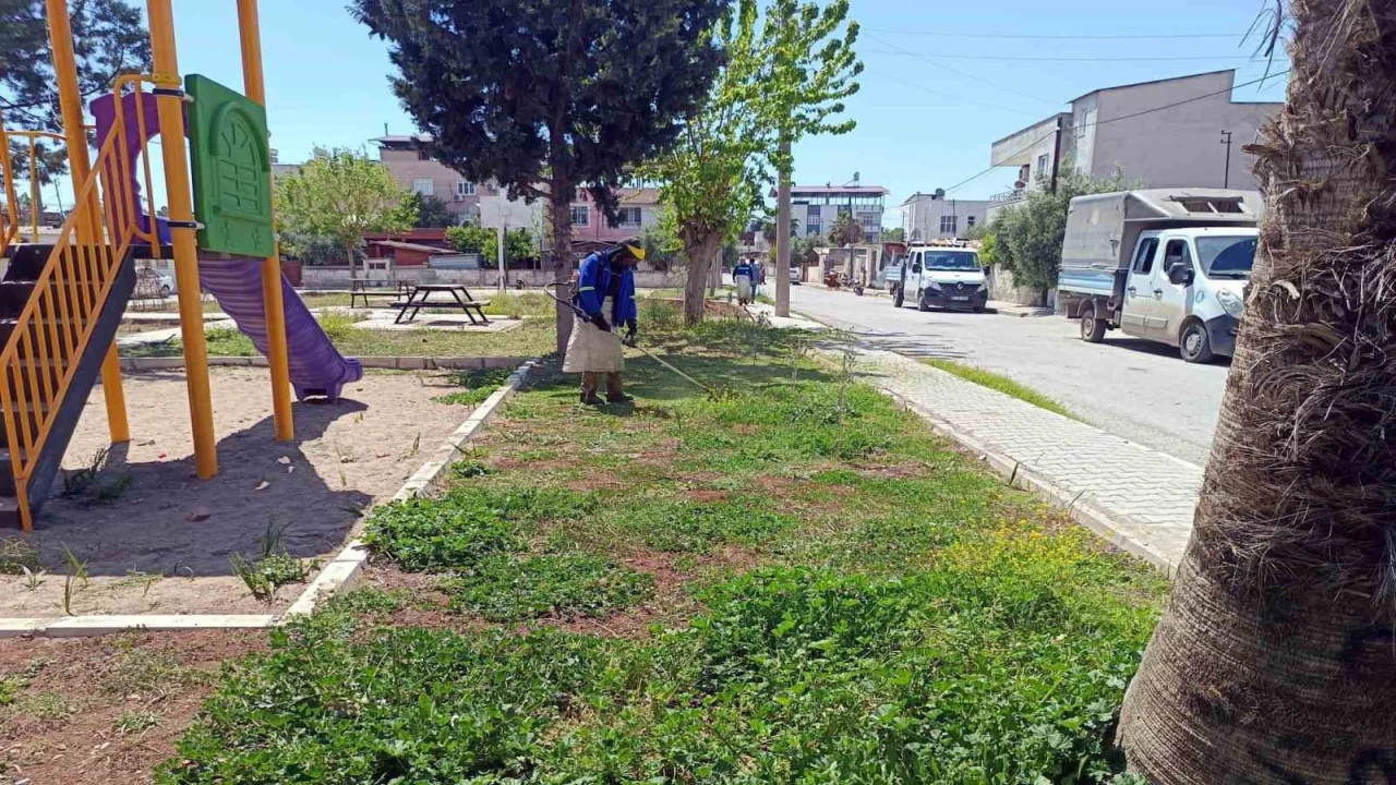 Akdenizin yeşil dokusu koruma altında