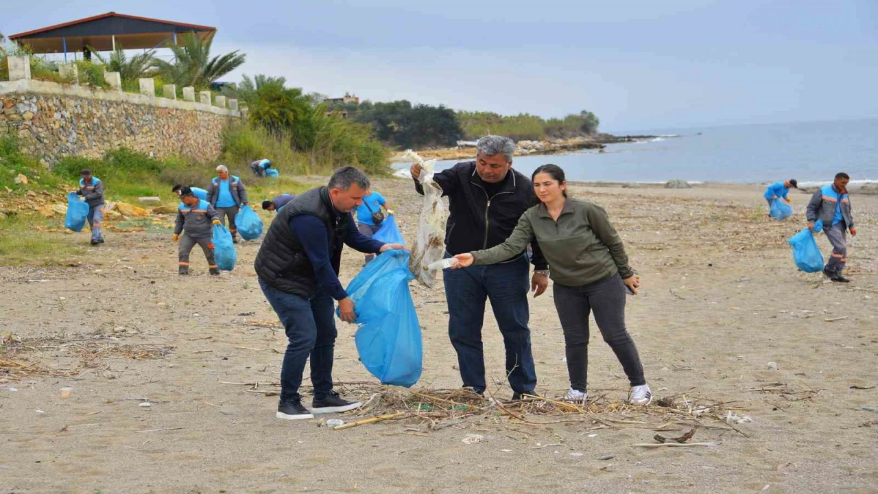 Alanyada kum zambakları ile caretta carettaların yaşam sahaları temizlendi
