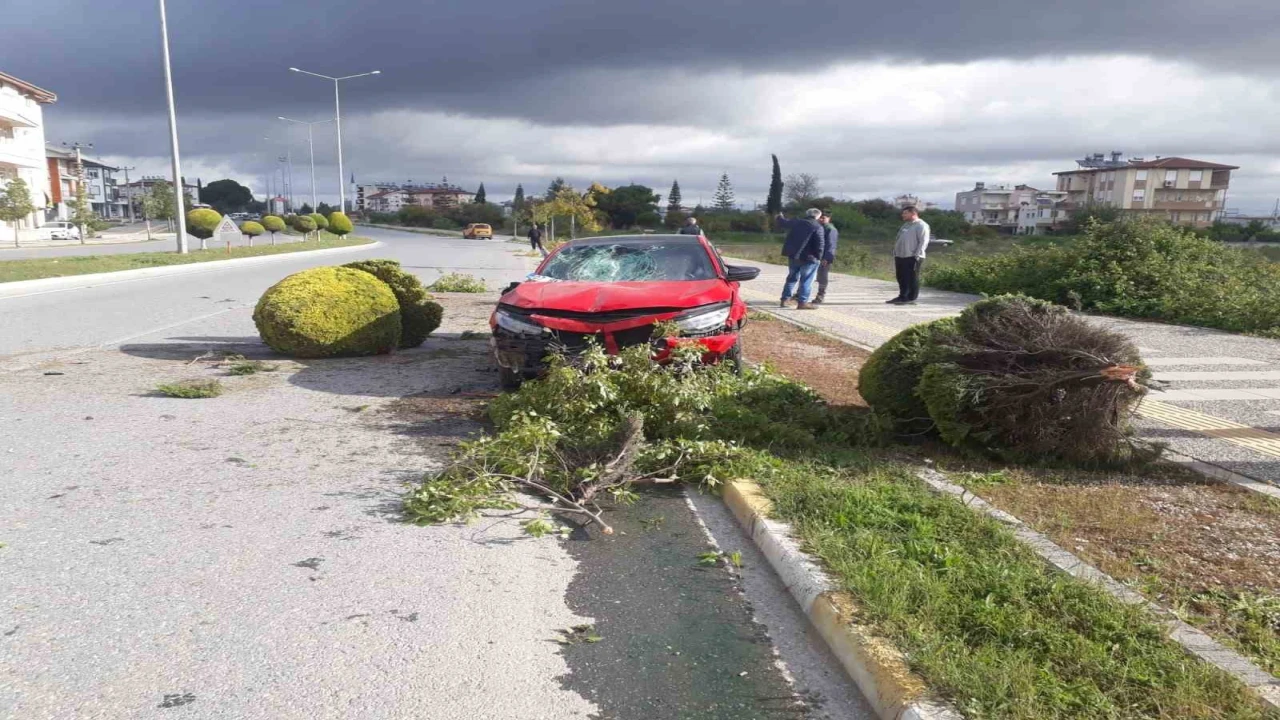 Alkollü sürücü kaldırımdaki ağaçlara çarptı: Devrilen ağaç Rus kadının yaralanmasına neden oldu