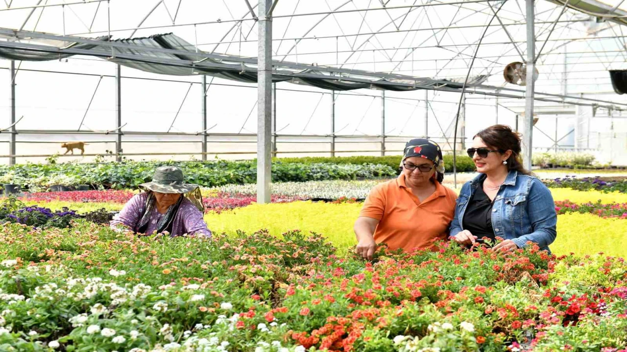 Antalyada çiçeğin Rio Karnavalı başlıyor