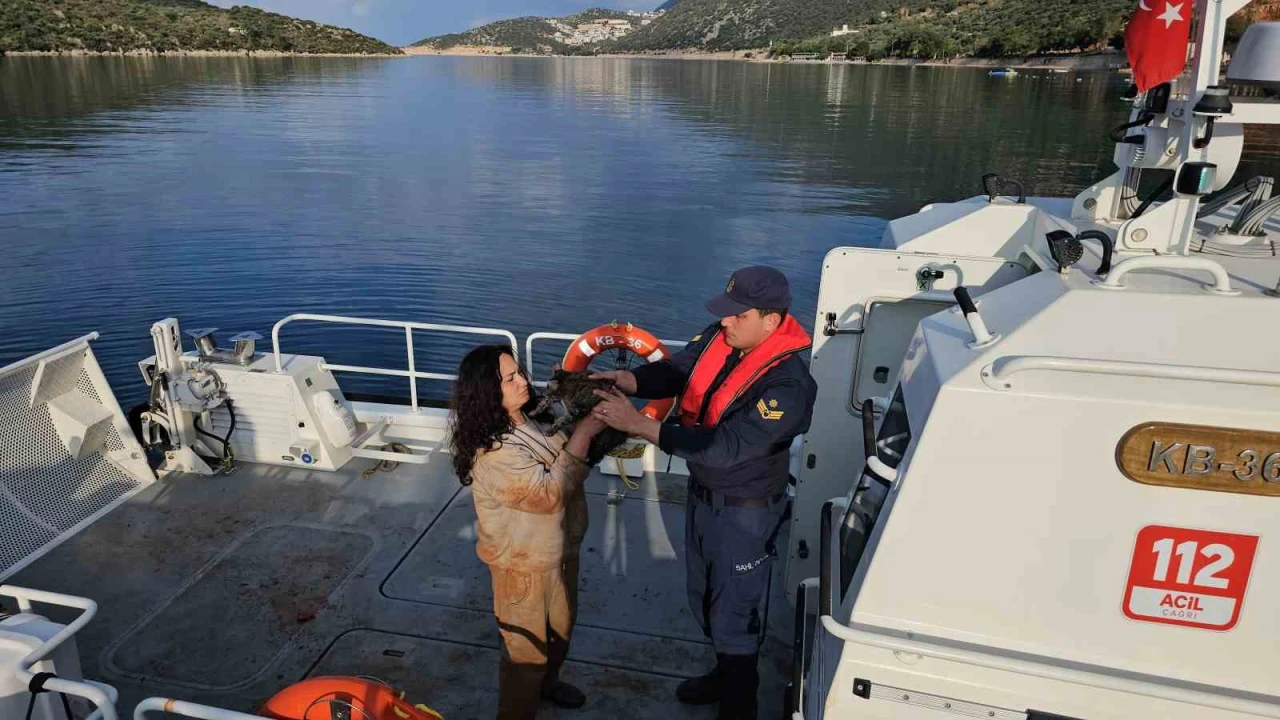 Antalyada düzensiz göçmen operasyonu: 25i çocuk 80 kişi kurtarıldı