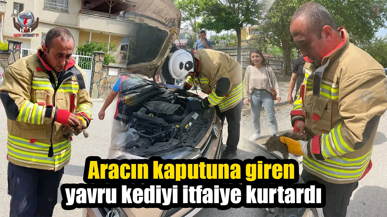 Aracın kaputuna giren yavru kediyi itfaiye kurtardı
