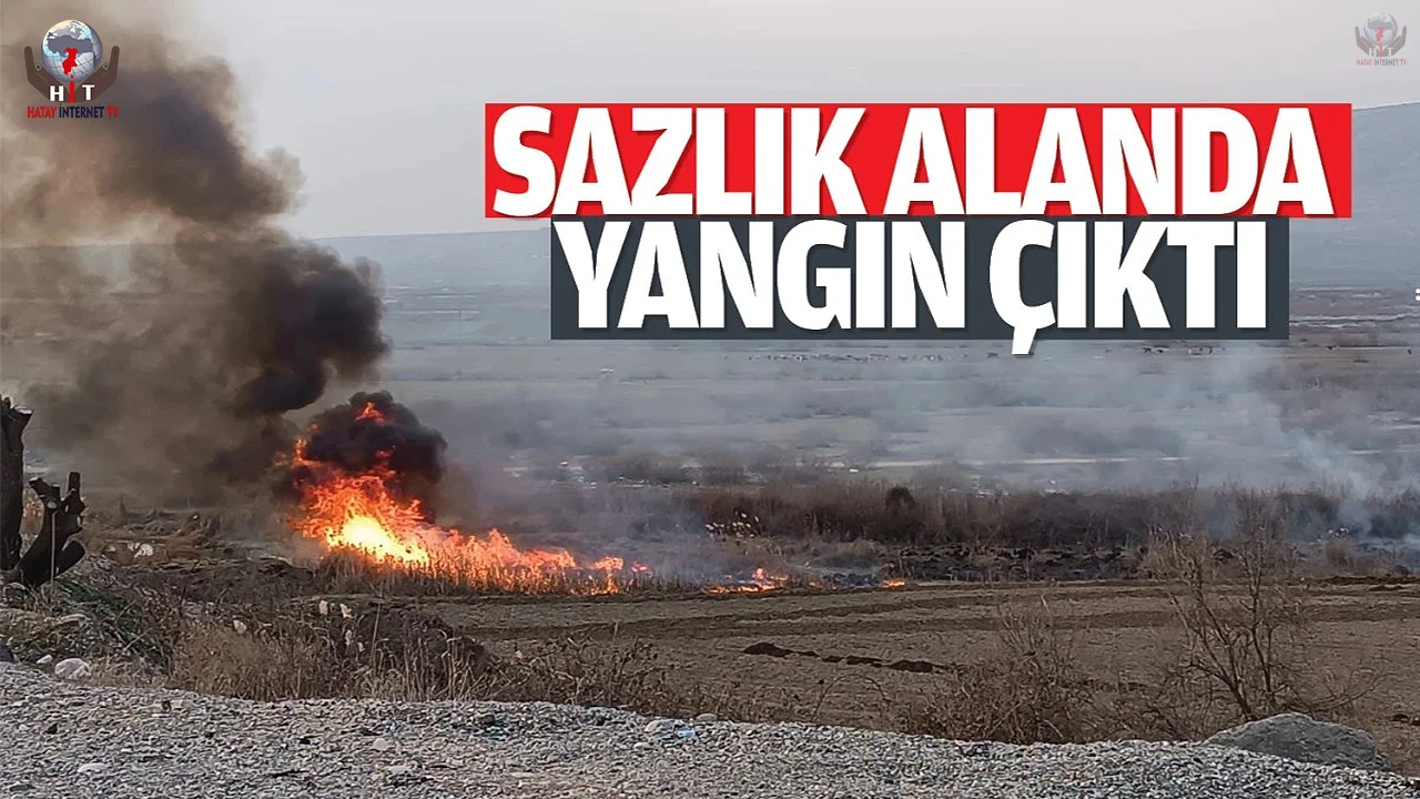 Arsuzda sazlık yangını