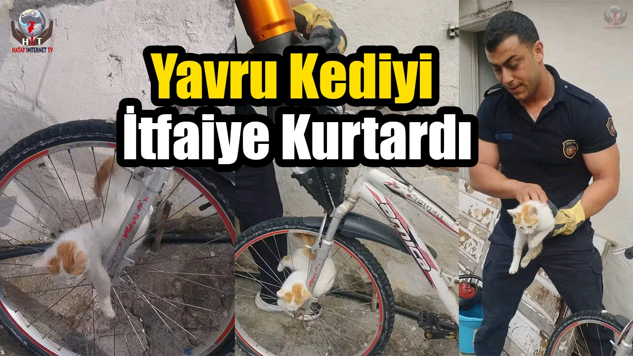 Bisikletin jant teline sıkışan yavru kediyi itfaiye kurtardı