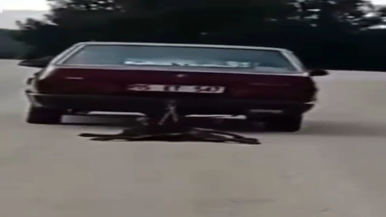 Burdurda köpeği aracının arkasında sürükleyen şahıs tutuklandı