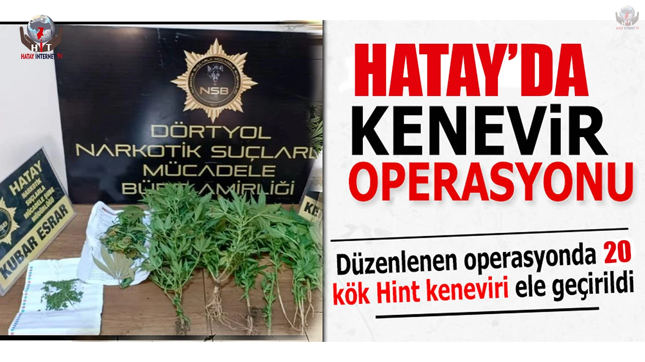 Dörtyolda hint keneviri operasyonu