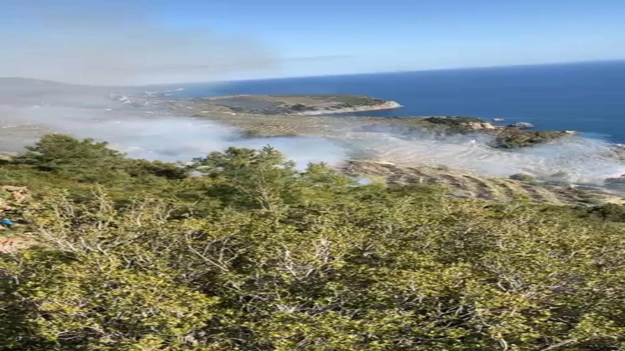 Gazipaşada muz bahçesindeki yangın makilik alana sıçradı