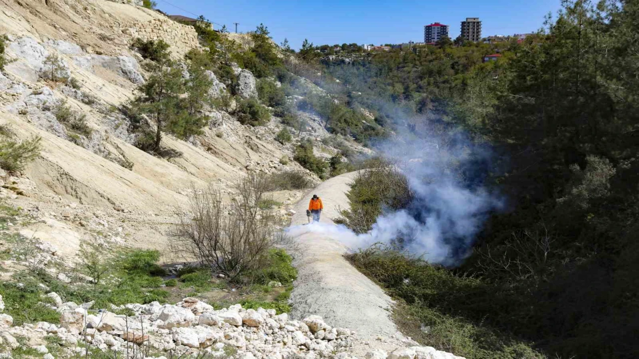 Gülnarda temizlik ve ilaçlama çalışması