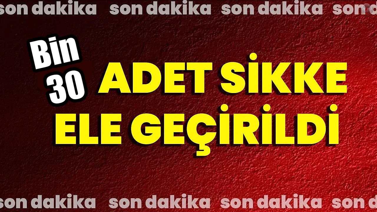 Hatayda bin 30 adet sikke ele geçirildi