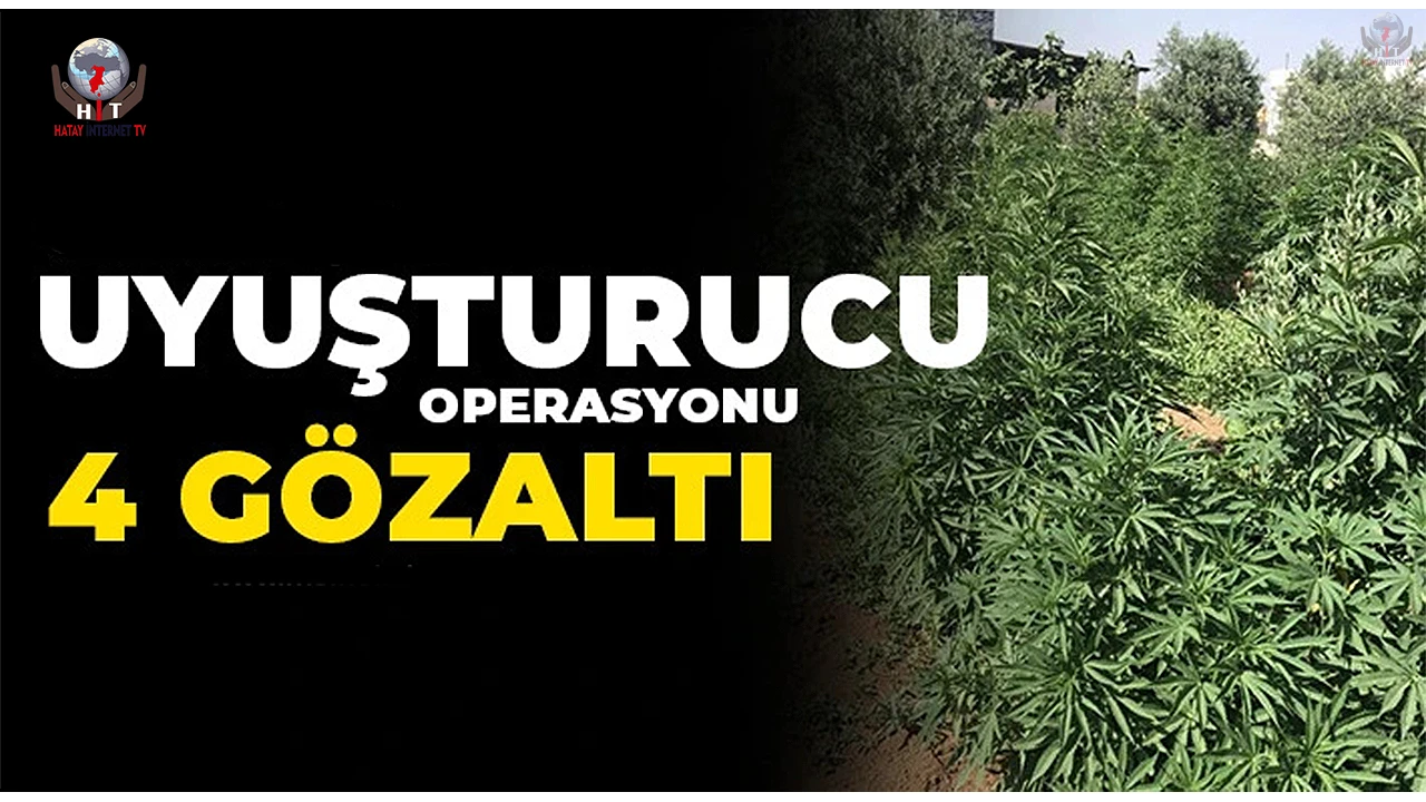 Hatayda uyuşturucu operasyonu: 4 gözaltı