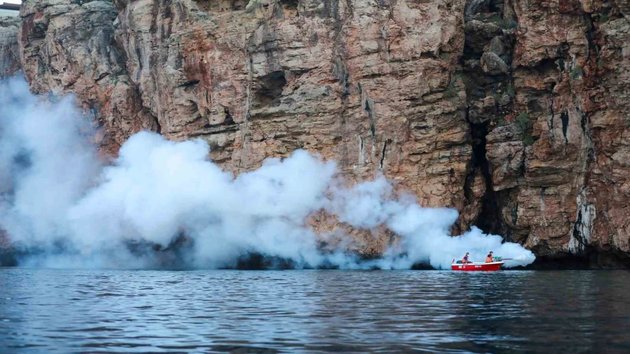 Havaların ısınmasıyla birlikte ilaçlama çalışmaları hız kazandı