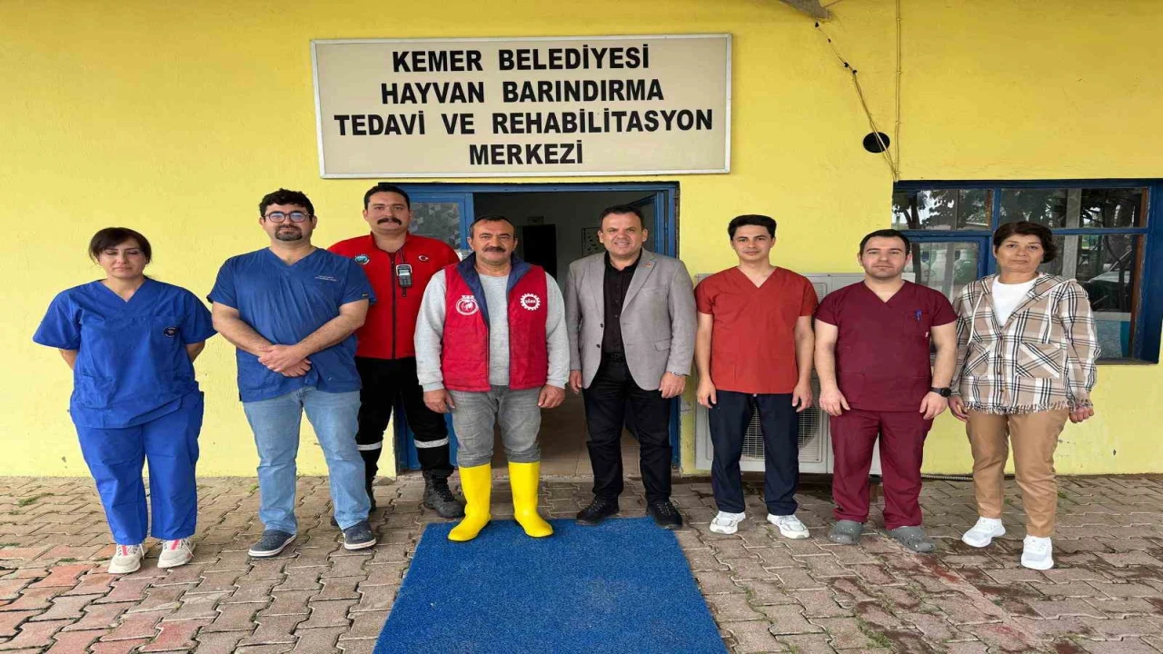 Kemerde sokak hayvanlarına destek çağrısı