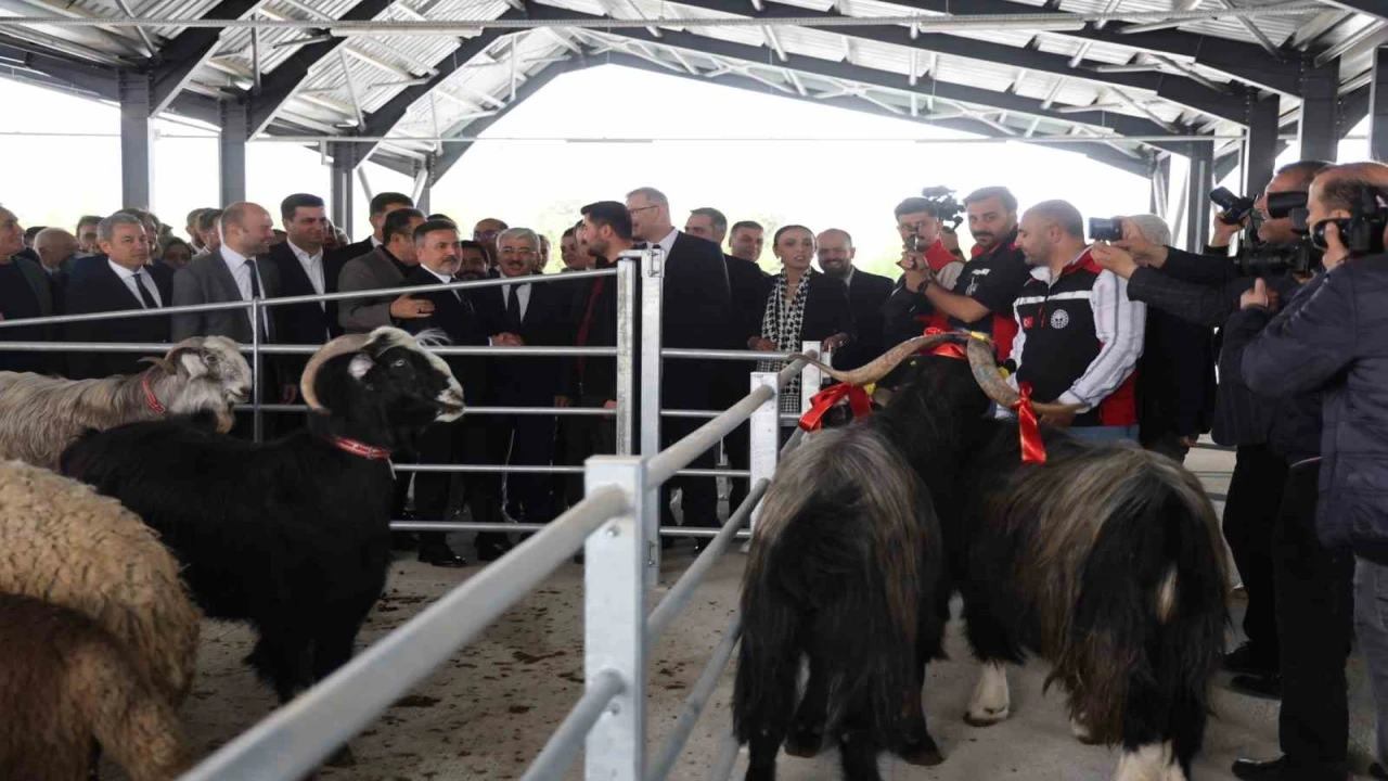 Kıran kırana kurban pazarlıklı pazar açılışı