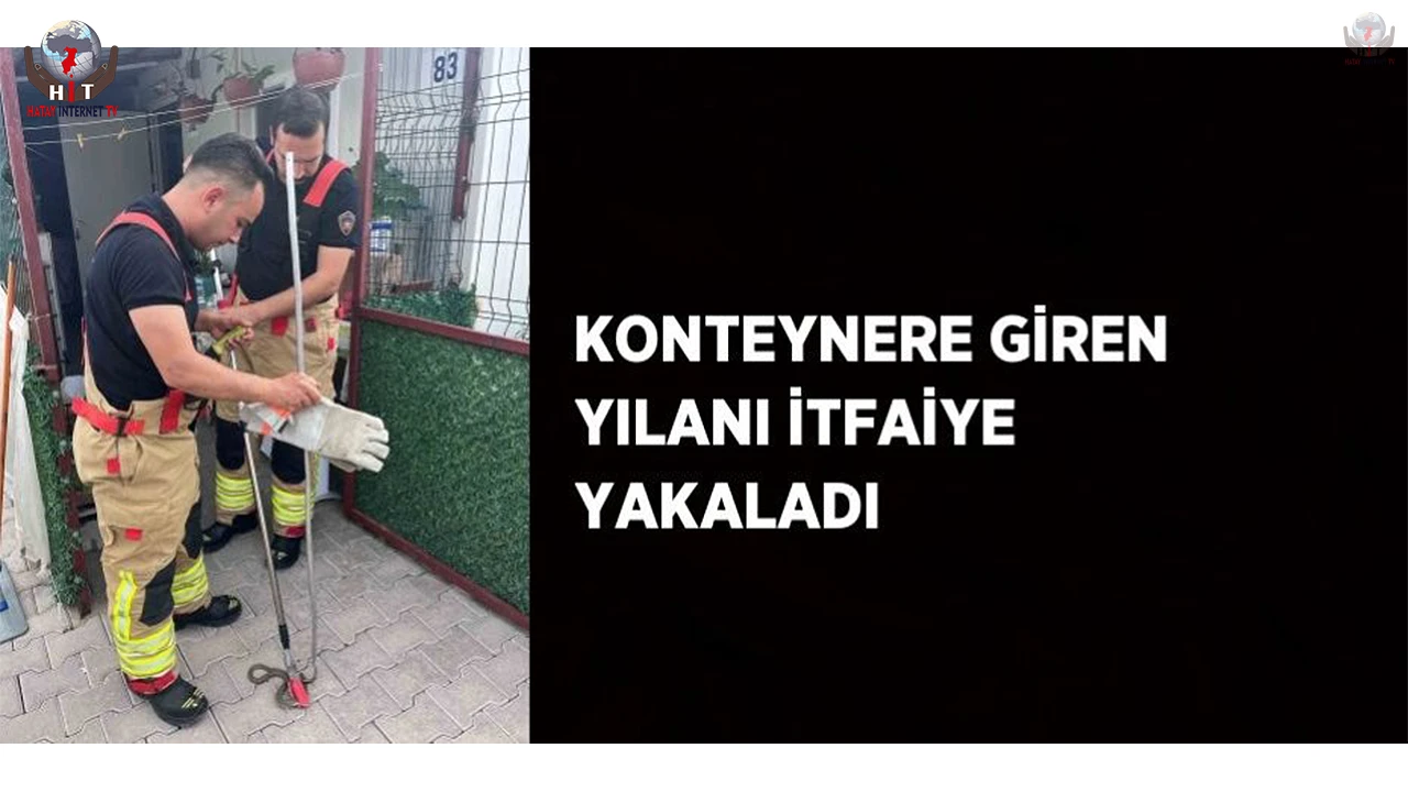 Konteynere giren yılanı itfaiye yakaladı