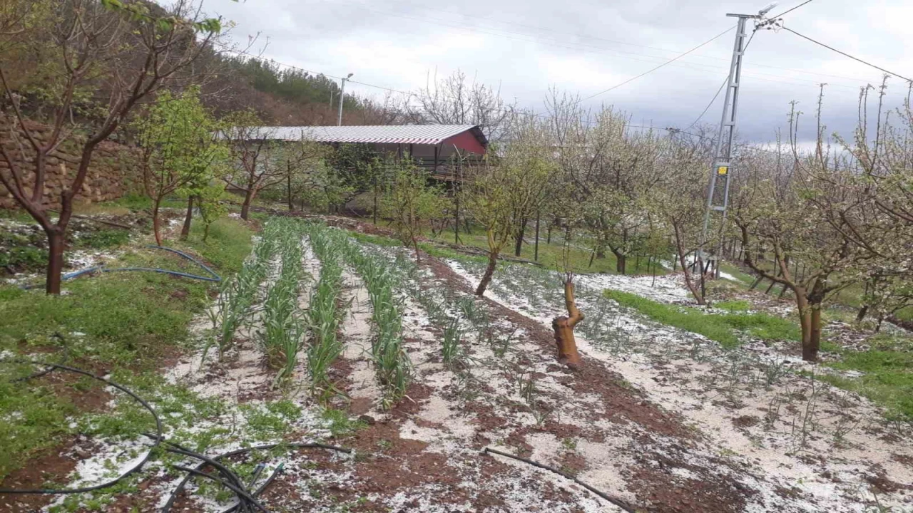 Kozanda dolu yağışı etkili oldu