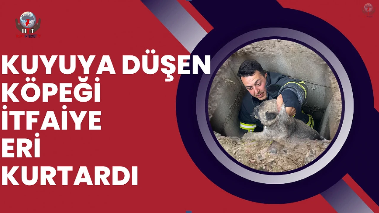 Kuyuya düşen yavru köpekleri itfaiye kurtardı