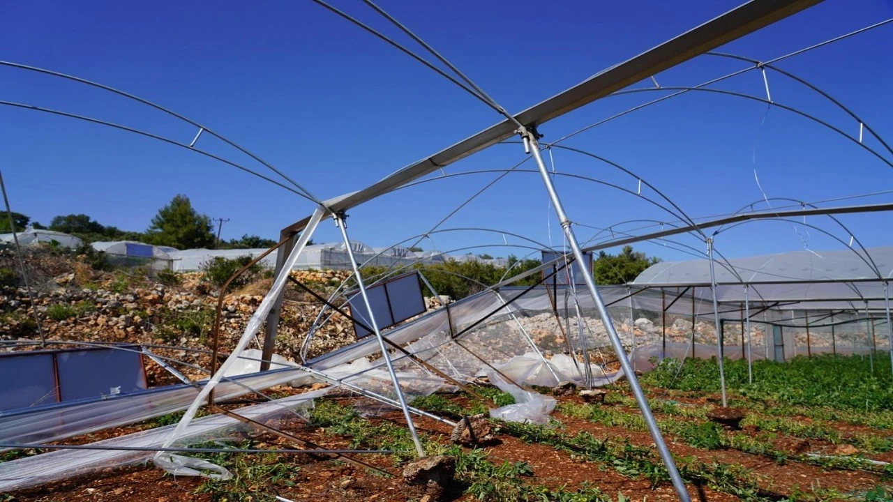 Mersin Erdemlide fırtına seralara zarar verdi
